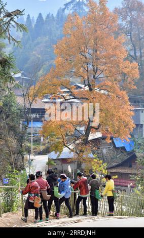 211230 -- RONGSHUI, le 30 décembre 2021 -- des villageois fabriquent une clôture en bambou dans le village de Wuying, à la frontière entre la région autonome de Guangxi Zhuang du sud de la Chine et la province du Guizhou du sud-ouest de la Chine, le 10 décembre 2021. Wuying Village est un hameau de minorité ethnique Miao qui se niche confortablement dans les montagnes imposantes qui s'étendent à travers la frontière entre Guangxi et Guizhou. Les habitants de la région souffrent depuis des années des terres arides, de l'environnement naturel rude et des transports peu pratiques. Les habitants de Wuying ont ébranlé la pauvreté en 2020. En 2021, avec l'aide au jumelage pour la vitalisation rurale de Lia Banque D'Images