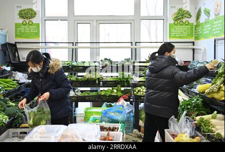 220111 -- TIANJIN, le 11 janvier 2022 -- des résidents choisissent des légumes dans un magasin du nord de la Chine, Tianjin, le 11 janvier 2022. La municipalité de Tianjin de Chine du Nord, qui a été témoin de la dernière résurgence du COVID-19, a lancé un mécanisme de réponse d urgence pour garantir l approvisionnement en produits de première nécessité. Selon le bureau du commerce municipal de Tianjin, les autorités locales ont mobilisé les principaux fournisseurs de gros, supermarchés et marchés de légumes pour ajouter des stocks afin de faire face à la demande du marché pour la viande, les œufs et les légumes. Actuellement, les principaux marchés de gros de la ville pour les produits agricoles Banque D'Images