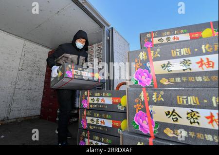 220111 -- TIANJIN, le 11 janvier 2022 -- un travailleur charge des fruits sur un camion dans le nord de la Chine, Tianjin, le 11 janvier 2022. La municipalité de Tianjin de Chine du Nord, qui a été témoin de la dernière résurgence du COVID-19, a lancé un mécanisme de réponse d urgence pour garantir l approvisionnement en produits de première nécessité. Selon le bureau du commerce municipal de Tianjin, les autorités locales ont mobilisé les principaux fournisseurs de gros, supermarchés et marchés de légumes pour ajouter des stocks afin de faire face à la demande du marché pour la viande, les œufs et les légumes. Actuellement, les principaux marchés de gros de la ville pour les produits agricoles h Banque D'Images