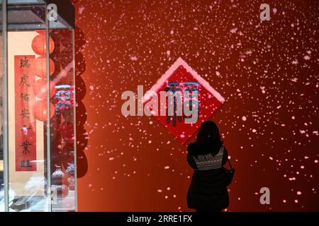 220119 -- BEIJING, le 19 janvier 2022 -- Une femme visite une exposition sur le thème du tigre au Musée national de Chine à Beijing, capitale de la Chine, le 19 janvier 2022. Alors que l'année du tigre approche, l'exposition Tiger as Talisman : 2022 Chinese New Year Exhibition, avec une sélection d'œuvres mettant en valeur le tigre dans la culture chinoise, a ouvert au public mercredi. CHINE-PÉKIN-NOUVEL AN-TIGRE-EXPOSITION CN JINXLIANGKUAI PUBLICATIONXNOTXINXCHN Banque D'Images