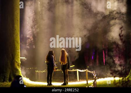 220121 -- BRUXELLES, le 21 janvier 2022 -- les gens regardent une installation lumineuse lors de l'avant-première du spectacle de lumière immersive nature illuminée au château de Groot-Bijgaarden à Dilbeek, près de Bruxelles, Belgique, le 20 janvier 2022. Avec son et l'affichage d'éclairage laser, le spectacle de lumière nature Illuminated offre au public une expérience immersive pour percevoir les changements de saison dans la nature. Il sera ouvert au public du 21 janvier au 20 mars. BELGIUM-DILBEEK-CASTLE-LIGHT SHOW ZhangxCheng PUBLICATIONxNOTxINxCHN Banque D'Images