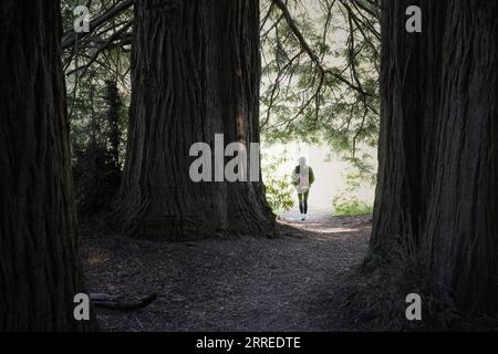 220222 -- WOODSIDE, le 22 février 2022 -- Un visiteur visite la Filoli Historic House & Garden à Woodside, Californie, États-Unis, le 21 février 2022. ÉTATS-UNIS-CALIFORNIE-WOODSIDE-FILOLI ESTATE-TOURISM WUXXIAOLING PUBLICATIONXNOTXINXCHN Banque D'Images