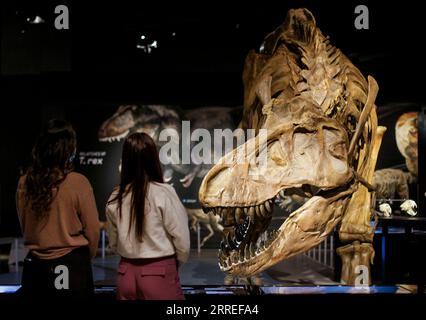 220225 -- VANCOUVER, le 25 février 2022 -- Une reproduction grandeur nature d'un squelette fossile de Tyrannosaurus rex T. rex est exposée lors d'un aperçu médiatique de T. rex : The Ultimate Predator au Science World à Vancouver, Colombie-Britannique, Canada, le 25 février 2022. T. rex : The Ultimate Predator est une énorme exposition qui présente aux visiteurs toute la famille des tyrannosaures à travers des modèles grandeur nature, des moulages fossiles et des expériences interactives. L’exposition se déroulera du 26 février 2022 au 22 janvier 2023. Photo par /Xinhua CANADA-VANCOUVER-EXHIBITION-DINOSAUR-T. REX LiangxSen PUBLICATIONxNOTxINxCHN Banque D'Images