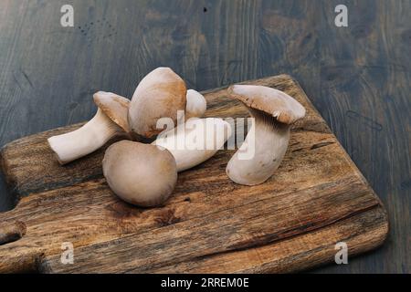 Champignons huîtres frais, varient en tailles, reposent sur une planche à découper en bois, fond gris-bleu surface en bois teinté, scène vibrante de la préparation des aliments Banque D'Images