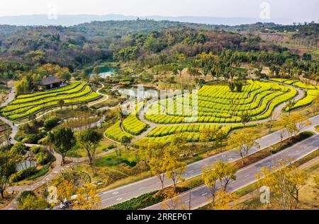 220311 -- CHONGQING, le 11 mars 2022 -- une photo aérienne prise le 10 mars 2022 montre le paysage de l'île de Guangyang dans le sud-ouest de la Chine, à Chongqing. L'île de Guangyang, la plus grande île sur la partie supérieure du fleuve Yangzi Jiang, est riche en ressources naturelles. Ces dernières années, une série de mesures ont été prises pour restaurer l'environnement écologique naturel de l'île. Maintenant, l'île attire un grand nombre de touristes chaque printemps. CHINE-CHONGQING-GUANGYANG ISLE-SPRING-SCENERY CN WANGXQUANCHAO PUBLICATIONXNOTXINXCHN Banque D'Images