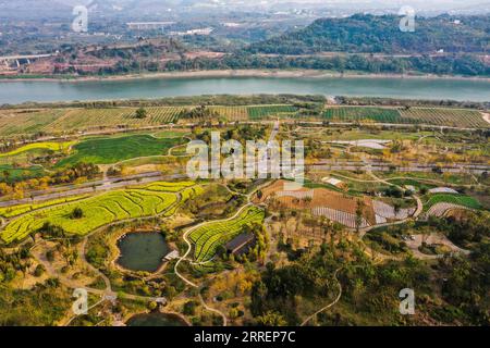 220311 -- CHONGQING, le 11 mars 2022 -- une photo aérienne prise le 10 mars 2022 montre le paysage de l'île de Guangyang dans le sud-ouest de la Chine, à Chongqing. L'île de Guangyang, la plus grande île sur la partie supérieure du fleuve Yangzi Jiang, est riche en ressources naturelles. Ces dernières années, une série de mesures ont été prises pour restaurer l'environnement écologique naturel de l'île. Maintenant, l'île attire un grand nombre de touristes chaque printemps. CHINE-CHONGQING-GUANGYANG ISLE-SPRING-SCENERY CN WANGXQUANCHAO PUBLICATIONXNOTXINXCHN Banque D'Images