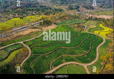 220311 -- CHONGQING, le 11 mars 2022 -- une photo aérienne prise le 10 mars 2022 montre le paysage de l'île de Guangyang dans le sud-ouest de la Chine, à Chongqing. L'île de Guangyang, la plus grande île sur la partie supérieure du fleuve Yangzi Jiang, est riche en ressources naturelles. Ces dernières années, une série de mesures ont été prises pour restaurer l'environnement écologique naturel de l'île. Maintenant, l'île attire un grand nombre de touristes chaque printemps. CHINE-CHONGQING-GUANGYANG ISLE-SPRING-SCENERY CN WANGXQUANCHAO PUBLICATIONXNOTXINXCHN Banque D'Images