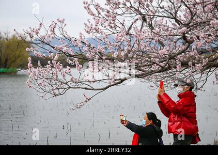 220319 -- BEIJING, le 19 mars 2022 -- visite du Palais d'été à Beijing, capitale de la Chine, le 19 mars 2022. CHINE-PÉKIN-PALAIS D'ÉTÉ-DÉCOR CN CHENXYEHUA PUBLICATIONXNOTXINXCHN Banque D'Images