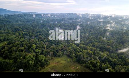 220321 -- BANGKOK, mars. 21, 2022 -- une photo aérienne prise le 21 mars 2022 montre des forêts dans le parc national de Khao Yai, en Thaïlande. Le parc national de Khao Yai est le premier parc national en Thaïlande, avec une superficie totale d'environ 2 168 kilomètres carrés. La Journée internationale des forêts est célébrée chaque année le 21 mars. THAÏLANDE-KHAO YAI PARC NATIONAL-VUE AÉRIENNE WANGXTENG PUBLICATIONXNOTXINXCHN Banque D'Images