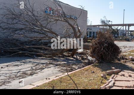 220323 -- AUSTIN, 23 mars 2022 -- une photo prise le 22 mars 2022 montre un arbre endommagé après des tornades à Round Rock, dans le centre du Texas, aux États-Unis. Au moins une personne a été tuée et plus de deux douzaines d'autres blessées lorsque des tornades ont frappé de vastes zones des États du centre-sud des États-Unis du Texas et de l'Oklahoma lundi soir, ont déclaré mardi les autorités. Photo de /Xinhua U.S.-TEXAS-TORNADO-AFTERMATH BoxLee PUBLICATIONxNOTxINxCHN Banque D'Images