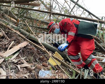 220322 -- TENGXIAN, 22 mars 2022 -- une photo prise avec un téléphone portable montre un sauveteur à la recherche des boîtes noires sur un site de crash d'avion dans le comté de Tengxian, dans la région autonome de Guangxi Zhuang, dans le sud de la Chine, le 22 mars 2022. Les sauveteurs font tous les efforts pour récupérer les boîtes noires d'un avion de passagers qui s'est écrasé dans la région autonome de Guangxi Zhuang du sud de la Chine lundi après-midi, a déclaré mardi soir un responsable de l'Administration de l'aviation civile de Chine CAAC. L'avion de passagers avec 132 personnes à bord s'est écrasé lundi après-midi, a déclaré le département régional de gestion des urgences. Le Banque D'Images