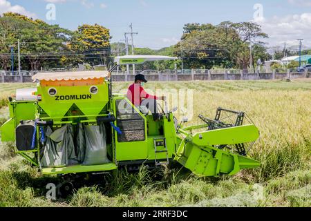 220326 -- NUEVA ECIJA, le 26 mars 2022 -- Un agriculteur travaille au Centre philippin-sino de technologie agricole PhilSCAT dans la province de Nueva Ecija, aux Philippines, le 25 mars 2022. Les Philippines récoltent les fruits de leur collaboration agricole avec la Chine en augmentant l'approvisionnement alimentaire et en préservant la sécurité alimentaire dans le pays, a déclaré vendredi le secrétaire à l'Agriculture William Dar. Dar a fait ces remarques lors d'une cérémonie marquant l'inauguration de nouveaux laboratoires de sélection au Centre philippin-sino pour la technologie agricole PhilSCAT dans la ville de Munoz dans la province de Nueva Ecija, au nord de Manille. PH Banque D'Images