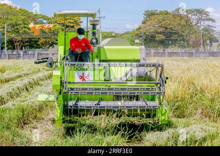 220326 -- NUEVA ECIJA, le 26 mars 2022 -- Un agriculteur travaille au Centre philippin-sino de technologie agricole PhilSCAT dans la province de Nueva Ecija, aux Philippines, le 25 mars 2022. Les Philippines récoltent les fruits de leur collaboration agricole avec la Chine en augmentant l'approvisionnement alimentaire et en préservant la sécurité alimentaire dans le pays, a déclaré vendredi le secrétaire à l'Agriculture William Dar. Dar a fait ces remarques lors d'une cérémonie marquant l'inauguration de nouveaux laboratoires de sélection au Centre philippin-sino pour la technologie agricole PhilSCAT dans la ville de Munoz dans la province de Nueva Ecija, au nord de Manille. PH Banque D'Images