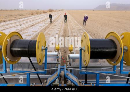 220409 -- URUMQI, le 9 avril 2022 -- des agriculteurs recouvrent des champs avec des films plastiques dans le comté de Bohu, dans la région autonome ouïgoure du Xinjiang, au nord-ouest de la Chine, le 8 avril 2022. La culture printanière du coton a commencé au Xinjiang. Photo de Nian Lei/Xinhua CHINE-XINJIANG-CULTURE DU COTON CN WangxFei PUBLICATIONxNOTxINxCHN Banque D'Images