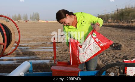 220409 -- URUMQI, le 9 avril 2022 -- Un agriculteur verse des graines de coton dans une machine à semer dans le comté de Xayar, préfecture d'Aksu, région autonome ouïgour du Xinjiang, au nord-ouest de la Chine, le 3 avril 2022. La culture printanière du coton a commencé au Xinjiang. Photo de Liu Yuzhu/Xinhua CHINE-XINJIANG-CULTURE DU COTON CN WangxFei PUBLICATIONxNOTxINxCHN Banque D'Images