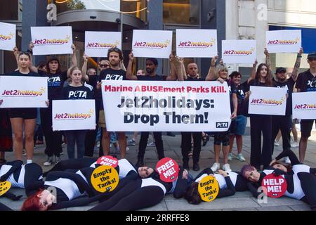 Londres, Royaume-Uni. 7 septembre 2023. Les militants de PETA en costumes d'orque et d'autres détenteurs de pancartes "Jet2 Helldays" organisent une manifestation devant la réunion annuelle de Jet2 Holidays à Cheapside, appelant le prestataire de voyages à abandonner les parcs marins qui contiennent des cétacés dans des réservoirs pour se divertir de ses forfaits vacances. Crédit : Vuk Valcic/Alamy Live News Banque D'Images