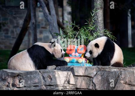 220417 -- WASHINGTON, D.C., le 17 avril 2022 -- Panda géant Xiao Qi Ji R et sa mère Mei Xiang dégustent un gâteau de glace au Smithsonian National Zoo à Washington, D.C., États-Unis, le 16 avril 2022. Divers événements ont eu lieu samedi pour marquer le 50e anniversaire du programme de panda géant du Smithsonian National Zoo and conservation Biology Institute. En 1972, le premier ministre chinois Zhou Enlai a offert deux pandas géants aux États-Unis en signe de bonne volonté à la suite des États-Unis Visite révolutionnaire du président Richard Nixon. Theodore Reed, alors directeur du zoo, escorte personnellement TH Banque D'Images