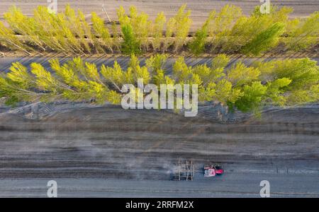 220421 -- URUMQI, le 21 avril 2022 -- une photo aérienne prise le 17 avril 2022 montre une machine agricole travaillant dans un champ de coton dans la ville de Shawan, dans la région autonome ouïgoure du Xinjiang, au nord-ouest de la Chine. Selon les estimations de l'Association chinoise du coton, il y aura 37,57 millions de mu environ 2,5 millions d'hectares de plantations de coton dans le Xinjiang en 2022, en hausse de 2 pour cent par rapport à 2021. Les données publiées par le Bureau national des statistiques ont montré que la production de coton au Xinjiang a dépassé 5,1 millions de tonnes l an dernier, soit 89,5 pour cent de la production totale de coton du pays. En outre, le Banque D'Images