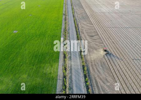 220421 -- URUMQI, le 21 avril 2022 -- une photo aérienne prise le 17 avril 2022 montre une machine agricole travaillant dans un champ de coton dans la ville de Shawan, dans la région autonome ouïgoure du Xinjiang, au nord-ouest de la Chine. Selon les estimations de l'Association chinoise du coton, il y aura 37,57 millions de mu environ 2,5 millions d'hectares de plantations de coton dans le Xinjiang en 2022, en hausse de 2 pour cent par rapport à 2021. Les données publiées par le Bureau national des statistiques ont montré que la production de coton au Xinjiang a dépassé 5,1 millions de tonnes l an dernier, soit 89,5 pour cent de la production totale de coton du pays. En outre, le Banque D'Images