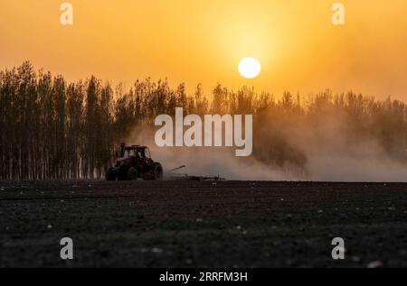 220421 -- URUMQI, le 21 avril 2022 -- Une machine agricole travaille dans un champ de coton de la ville de Shawan, dans la région autonome ouïgoure du Xinjiang, au nord-ouest de la Chine, le 17 avril 2022. Selon les estimations de l'Association chinoise du coton, il y aura 37,57 millions de mu environ 2,5 millions d'hectares de plantations de coton dans le Xinjiang en 2022, en hausse de 2 pour cent par rapport à 2021. Les données publiées par le Bureau national des statistiques ont montré que la production de coton au Xinjiang a dépassé 5,1 millions de tonnes l an dernier, soit 89,5 pour cent de la production totale de coton du pays. De plus, la région s’est classée première au CH Banque D'Images