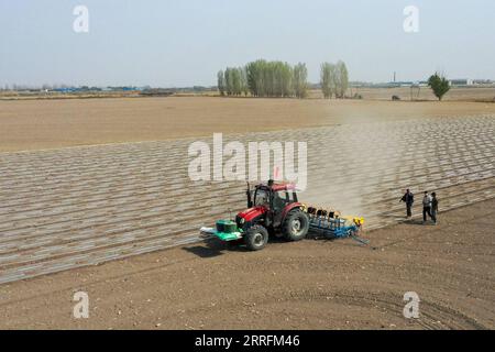 220421 -- URUMQI, le 21 avril 2022 -- une photo aérienne prise le 19 avril 2022 montre une machine à semer guidée par le système de navigation par satellite BeiDou travaillant dans un champ de coton dans une ferme d'une division du corps de production et de construction du Xinjiang dans la région autonome ouïgoure du Xinjiang du nord-ouest de la Chine. Selon les estimations de l'Association chinoise du coton, il y aura 37,57 millions de mu environ 2,5 millions d'hectares de plantations de coton dans le Xinjiang en 2022, en hausse de 2 pour cent par rapport à 2021. Les données publiées par le Bureau national des statistiques ont montré que la production de coton au Xinjiang dépassait les 5,1 000 Banque D'Images