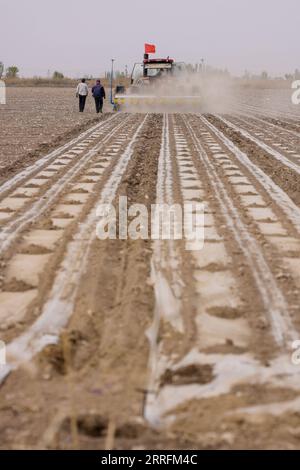 220421 -- URUMQI, le 21 avril 2022 -- Un semoir guidé par le système de navigation par satellite BeiDou travaille dans un champ de coton dans une ferme d'une division du corps de production et de construction du Xinjiang dans la région autonome ouygure du Xinjiang du nord-ouest de la Chine, le 19 avril 2022. Selon les estimations de l'Association chinoise du coton, il y aura 37,57 millions de mu environ 2,5 millions d'hectares de plantations de coton dans le Xinjiang en 2022, en hausse de 2 pour cent par rapport à 2021. Les données publiées par le Bureau national des statistiques ont montré que la production de coton au Xinjiang a dépassé les 5,1 millions de tonnes l'an dernier, conformément à la loi Banque D'Images