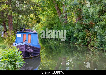 Blue Canal Boat sur le backwater du canal d'Oxford. Oxford, Angleterre, Royaume-Uni Banque D'Images