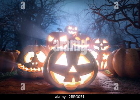 Citrouilles d'Halloween et brume dans la forêt effrayante. Arrière-plan de scène d'Halloween. Nuit sombre effrayante effrayante effrayante avec des citrouilles et des arbres terribles. Événement de vacances hallo Banque D'Images