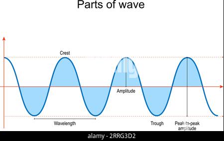 Parties de vague. composants fondamentaux et propriétés des ondes en physique, optique et sonore. Illustration vectorielle Illustration de Vecteur