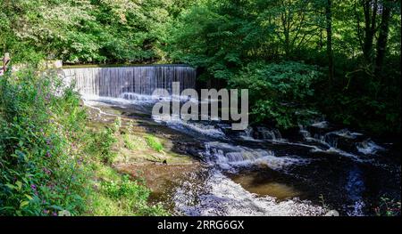 Autour du Royaume-Uni - Weir dans Yarrow Valley Park, Chorley, Lancashire, Royaume-Uni Banque D'Images