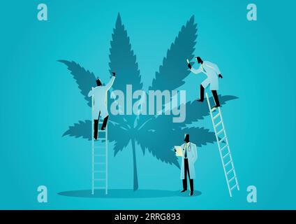 Illustration graphique vectorielle d'une équipe de médecins ou de scientifiques vérifiant les plantes de chanvre. Concept du cannabis comme médecine alternative Illustration de Vecteur