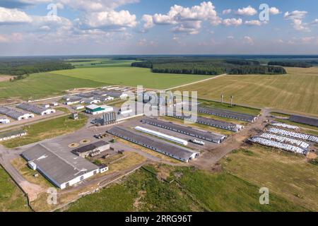 vue panoramique aérienne sur ferme d'élevage et complexe agro-industriel avec silos et rangées de granges, cochons, poulaillers Banque D'Images