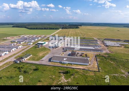 vue panoramique aérienne sur ferme d'élevage et complexe agro-industriel avec silos et rangées de granges, cochons, poulaillers Banque D'Images