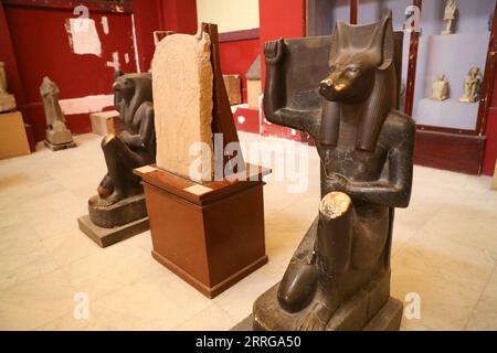 220515 -- LE CAIRE, le 15 mai 2022 -- une photo prise le 14 mai 2022 montre une statue du dieu Anubis au Musée égyptien du Caire, en Égypte. En tant que divinité funéraire, Anubis est associé à la momification, aux rituels funéraires et au cimetière dans le mythe égyptien antique, généralement représenté comme un canin noir, ou un homme avec tête de canin. Il peut être trouvé à un grand nombre d'antiquités pharaoniques au Musée égyptien mondialement connu. ÉGYPTE-CAIRE-MUSÉE ÉGYPTIEN-ANUBIS SuixXiankai PUBLICATIONxNOTxINxCHN Banque D'Images