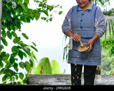 220516 -- ZUNYI, le 16 mai 2022 -- Jian Qin nourrit les poulets à la maison dans le canton de Zhongguan, comté de Zheng an, province du Guizhou au sud-ouest de la Chine, le 12 mai 2022. Vivant au cœur des montagnes de Zunyi dans la province du Guizhou, Zhao Youliang et Jian Qin sont un couple handicapé. Zhao, âgé de 50 ans, a perdu ses mains à cause d'une amputation à un jeune âge, et Jian, âgée de 43 ans, a perdu la vue à cause du retard dans le traitement d'une maladie dans son enfance. Dans la vie quotidienne, Zhao aide sa femme à voir avec ses yeux, tandis que Jian aide son mari avec ses mains. Le couple s'est soutenu mutuellement Banque D'Images