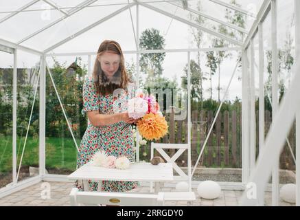 femme coupant son dahlia dans sa serre dans son jardin Banque D'Images