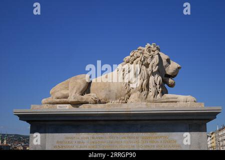 Statue d'un lion sur le côté Pest du pont des chaînes, qui traverse le Danube, Budapest, Hongrie Banque D'Images