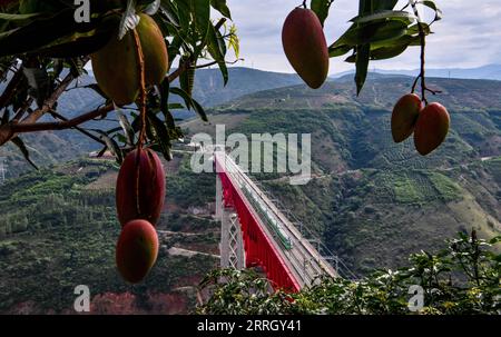 220603 -- KUNMING, le 3 juin 2022 -- Un train à grande vitesse Fuxing traverse le grand pont Yuanjiang sur le chemin de fer Chine-Laos, dans la province du Yunnan du sud-ouest de la Chine, le 1 juin 2022. Le chemin de fer Chine-Laos, six mois après le début de son exploitation, a livré plus de 4 millions de tonnes de fret jeudi, a déclaré l opérateur ferroviaire chinois. Selon China State Railway Group Co., Ltd., le volume de transport de marchandises transfrontalières a atteint 647 000 tonnes au cours de la période La ligne de train a également traité plus de 3,2 millions de voyages de passagers, a déclaré l'opérateur. Depuis décembre 2021, 21 régions chinoises ont designa Banque D'Images