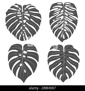 Ensemble d'illustrations en noir et blanc avec des feuilles de plante monstera creeper. Objets vectoriels isolés sur fond blanc. Illustration de Vecteur