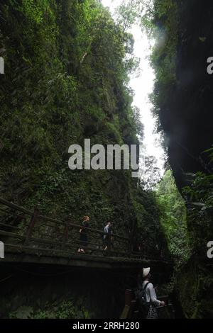 220609 -- CHENGDU, le 9 juin 2022 -- une photo prise le 5 juin 2022 montre le paysage du mont Emei dans la province du Sichuan au sud-ouest de la Chine. Le mont Emei, situé dans la province du Sichuan au sud-ouest de la Chine, est une région d'une beauté spectaculaire, remarquable pour sa montagne élevée et sa végétation luxuriante. Il est également d'une grande importance spirituelle et culturelle, dans laquelle il y a des sites archéologiques, une architecture importante, des tombes, des espaces rituels, et des collections d'objets culturels, y compris des sculptures, des inscriptions sur pierre, de la calligraphie, et des peintures, entre autres arts traditionnels Le mont Emei est connu comme l'un des f Banque D'Images