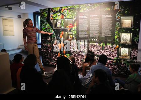 220609 -- BRUXELLES, le 9 juin 2022 -- un membre du personnel explique la culture du cacao aux visiteurs du Belgian Chocolate Village à Bruxelles, Belgique, le 9 juin 2022. Le Belgian Chocolate Village est un musée qui met en valeur les connaissances, l'histoire et la culture liées au chocolat. BELGIQUE-BRUXELLES-MUSÉE DU CHOCOLAT ZhengxHuansong PUBLICATIONxNOTxINxCHN Banque D'Images