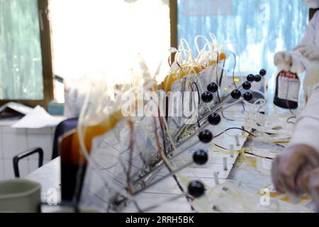 220615 -- SANAA, le 15 juin 2022 -- des membres du corps médical préparent des poches de sang au Centre national de recherche et de transfusion sanguine à Sanaa, Yémen, le 14 juin 2022. Des centaines d’habitants de Sanaa ont répondu à l’appel des autorités médicales locales et se sont rendus au centre de transfusion sanguine pour faire un don de sang mardi, qui marque la Journée mondiale du don de sang. Photo de /Xinhua YÉMEN-SANAA-DON DE SANG MohammedxMohammed PUBLICATIONxNOTxINxCHN Banque D'Images