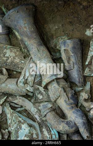 220616 -- GUANGHAN, le 16 juin 2022 -- la photo prise le 1 juin 2022 montre des parties dispersées d'une sculpture en bronze récemment mise au jour dans la fosse sacrificielle n° 8 sur le site des ruines de Sanxingdui dans la province du Sichuan du sud-ouest de la Chine. Une sculpture en bronze récemment déterrée sur le célèbre site des ruines de Sanxingdui a été jumelée avec succès avec une autre partie de bronze après avoir été mise à part il y a environ 3 000 ans, a confirmé jeudi l'équipe archéologique. La sculpture sophistiquée en bronze représente une figure d'une tête humaine et d'un corps de serpent, avec des yeux saillants, des défenses et des cornes. Au-dessus de la tête se trouve une trompette cinabre Banque D'Images