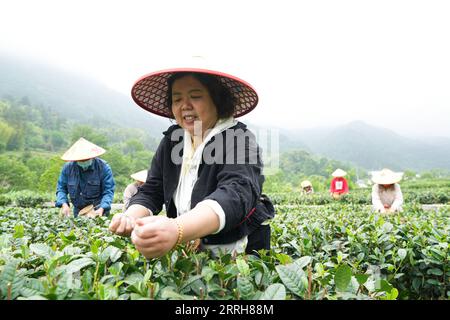 220619 -- HEFEI, le 19 juin 2022 -- des villageois ramassent des feuilles de thé dans un jardin de thé dans le village de Dawan, dans le comté de Jinzhai, province de l'Anhui dans l'est de la Chine, le 11 mai 2022. Xinhua Headlines : les zones montagneuses de la Chine explorent de nouvelles façons de générer de la richesse grâce aux actifs verts DuxYu PUBLICATIONxNOTxINxCHN Banque D'Images