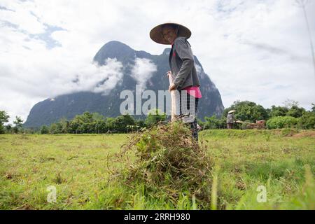 220621 -- VIENTIANE, le 21 juin 2022 -- Un villageois travaille dans une rizière à Muang Fueng, une ville touristique en plein essor à environ 100 km au nord de la capitale lao Vientiane, le 18 juin 2022. Photo de /Xinhua LAOS-VIENTIANE-MUANG FUENG-TOURISME-VIE QUOTIDIENNE KaikeoxSaiyasane PUBLICATIONxNOTxINxCHN Banque D'Images