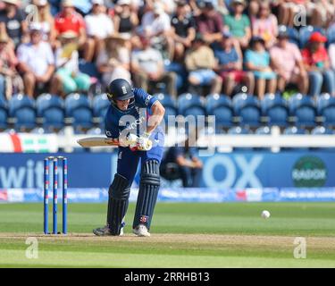 Cardiff, Royaume-Uni. 08 septembre 2023. Harry Brook de l'Angleterre en action avec la batte lors du match de la Metro Bank ODI Series entre l'Angleterre et la Nouvelle-Zélande à Sophia Gardens, Cardiff, Royaume-Uni, le 8 septembre 2023. Photo de Stuart Leggett. Usage éditorial uniquement, licence requise pour un usage commercial. Aucune utilisation dans les Paris, les jeux ou les publications d'un seul club/ligue/joueur. Crédit : UK Sports pics Ltd/Alamy Live News Banque D'Images