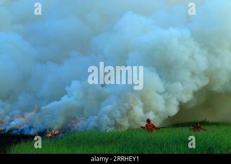 220628 -- SUMATRA SUD, 28 juin 2022 -- des pompiers tentent d'éteindre un incendie de tourbière dans le village d'Arisan Jaya dans le sud de Sumatra, Indonésie, le 28 juin 2022. Photo de /Xinhua INDONESIA-SOUTH SUMATRA-PEATLAND-FIRE M.xHatta PUBLICATIONxNOTxINxCHN Banque D'Images