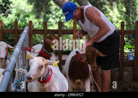 220629 -- SIGGIEWI, le 29 juin 2022 -- un homme attache la corde pour un mouton pendant la fête traditionnelle de Mnarja dans les jardins Buskett de Siggiewi, Malte, le 29 juin 2022. Un festival traditionnel de deux jours célébrant la récolte s'est conclu mercredi dans les jardins Buskett de Malte. L'événement a présenté des produits agricoles, des concours d'élevage et de la musique folklorique traditionnelle. Le festival, nommé Mnarja en langue maltaise, est le principal festival folklorique de Malte. Photo de /Xinhua MALTA-SIGGIEWI-FESTIVAL TRADITIONNEL JonathanxBorg PUBLICATIONxNOTxINxCHN Banque D'Images