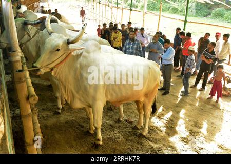 220703 -- DHAKA, le 3 juillet 2022 -- des gens visitent une ferme de bétail avant le festival de l'Aïd al-Adha à Dhaka, Bangladesh, le 3 juillet 2022. BANGLADESH-DHAKA-EID AL-ADHA-ÉLEVAGE SALIM PUBLICATIONXNOTXINXCHN Banque D'Images