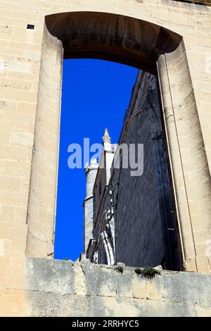 Palais des archevêques, St Just et cathédrale St-Pasteur. Place de la mairie. Narbonne, Occitanie, France Banque D'Images